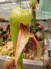 DSCN3540_S.jpg