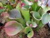 DSCN3569_S.jpg